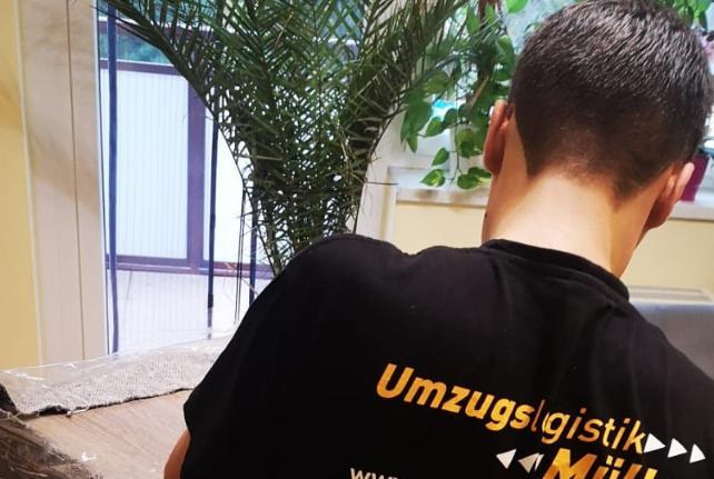 Laborumzug Lunzenau stressfrei umziehen 